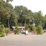 efteling-29-08-2025013.jpg