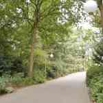 efteling-29-08-2025031.jpg