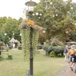 efteling-29-08-2025049.jpg