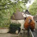efteling-29-08-2025067.jpg