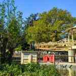 efteling-22-04-2026-032.jpg