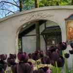 efteling-22-04-2026-223.jpg