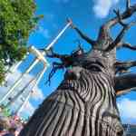 tilburg-17-07-2026-0337.jpg