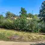 walibi-belgium-23-08-2026-0086.jpg