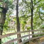 walibi-belgium-23-08-2026-0417.jpg