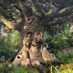 efteling-28-08-2026-0081.jpg