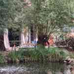 efteling-28-08-2026-0082.jpg
